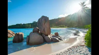 Anse Cocos Beach