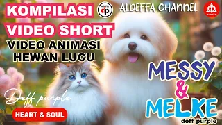 🔴Kompilasi shorts video MESSY & MELKE #kucing #hewan #viral #dogs #anjing #lucu