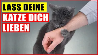 Wie Du Eine Katze Dazu Bringst, Dich Zu Mögen