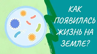 Гипотезы происхождения жизни на Земле. Как появилась жизнь?