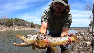 Catching GIANT Springtime Trout!! (He Won’t Fit In the Net!)