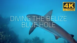 Diving the Belize Blue Hole - Cinematic 4K