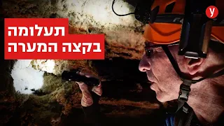 תעלומת ה"צמח" המוזר במערה חשוכה ליד ים המלח