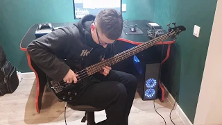 Metallica - Orion bass cover (interlude and bass solo)