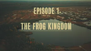 Frog Kingdom