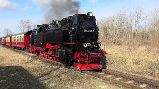 Kurzer Halt der Selketalbahn mit Dampflok *Steam train* BR 99 7240-7 in Bad Suderode