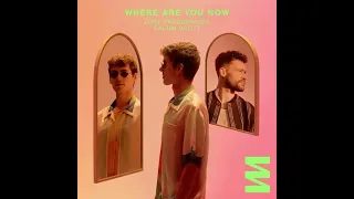 Lost Frequencies ft  Calum Scott - Where Are You Now (Dj San Remix)