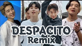 DESPACITO REMIX DANCE CHALLENGE | TIKTOK COMPILATION