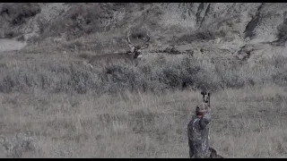 Giant Archery Mule Deer - Incredible Kill Shot!!