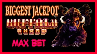 📌 Look ! Amazing Biggest Jackpot in MAX BET | BUFFALO GRAND SLOT MACHINE