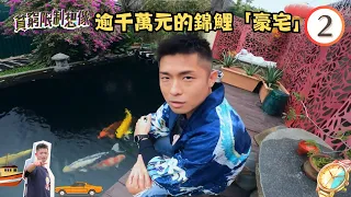 逾千萬元的錦鯉「豪宅」 | 貧窮限制想像 #02 | 方紹聰 | 粵語中字 | TVB 2022