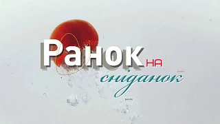 Штучне Дихання на TV7+ "Ранок на Сніданок" (22/05/2019)