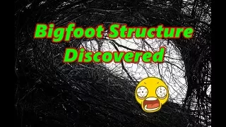 Bigfoot Sleep Structure Discovered BFRO Report