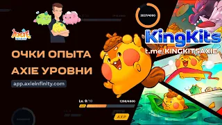 Axie Infinity - AXP Очки опыта и Уровни Axie