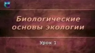 Урок 1. Введение в экологию. Мир взаимоотношений между организмами