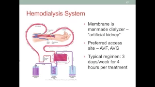 MNT CKD Part 2 Diagnosis and Medical Treatment