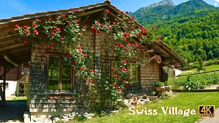 Iseltwald , Beautiful Village in Switzerland | Swiss Valley