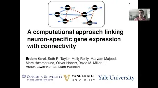 A computational method linking neuron-specific gene expression with connectivity