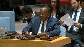 The Political and Security Situation in Central Africa - Security Council Briefing