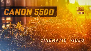 Canon 550d - Cinematic Video  |   2023