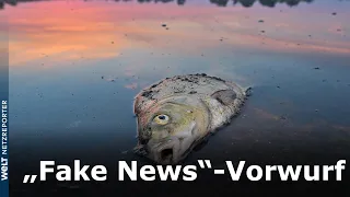 UMWELTKATASTROPHE AN DER ODER: Polen wirft Deutschland „Fake News“ in Bezug auf Fischsterben vor