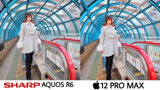 Sharp Aquos R6 vs iPhone 12 Pro Max Camera Test