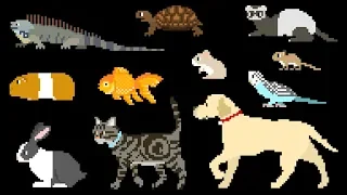 Pets - Book Version - Cat, Dog, Turtle - The Kids' Picture Show (Fun & Educational Learning Video)