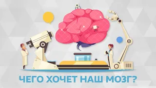 Чего хочет наш мозг?