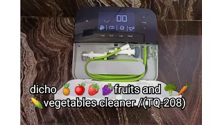 dicho fruits🍍🍎🍓🍇 and🥦🥕🌽 vegetables cleaner (hindi)