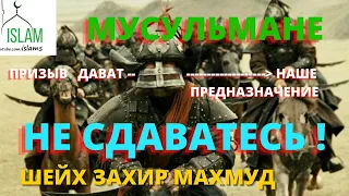 Мусульмане не сдавайтесь! Внимание на цикличность истории. Захир Махмуд