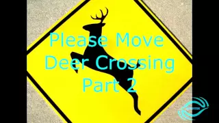 Please Move Deer Crossing Part 2!!!