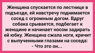 Женщина и Сосед с Собакой в Подъезде! Сборник Свежих Смешных Жизненных Анекдотов!