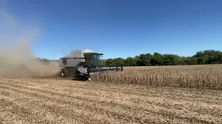 Gleaner R62 harvesting soybeans at Stroda Farms in 2023