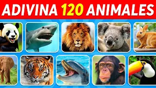 Adivina 120 ANIMALES en 3 Segundos | Fácil, Medio, Difícil, Imposible