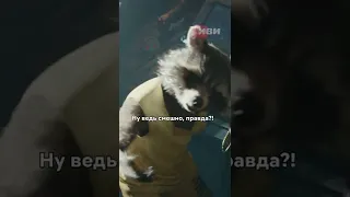 Прикол от енота Ракеты 😹 #shorts