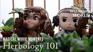 HERBOLOGY 101 | Magical Movie Moments In Real Life