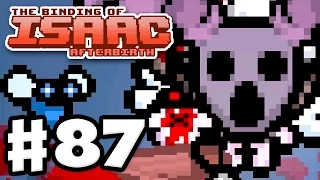 The Binding of Isaac: Afterbirth - Gameplay Walkthrough Part 87 - Eden vs. Hush! (PC)