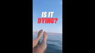 Why the Dead Sea is dying [2022]