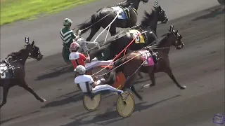 GIMPANZEE, 1:50.0 - 2020 Cashman