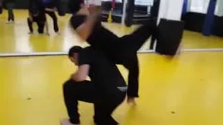 Ninjutsu Koga Ryu