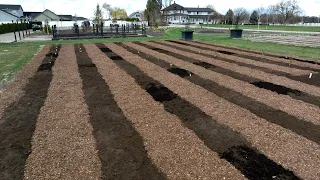 We’re Planting a BIG Rose Garden!!! 🌹🌹🌹 // Garden Answer