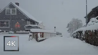 Snowing Christmas walk St Lucia Day ❄️☃️ | Odda Norway | 4K