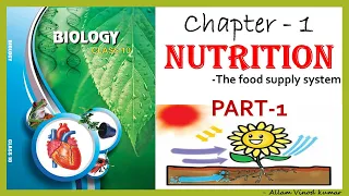 Nutrition - The Food Supply System, 10th Biology Part -1