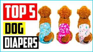 Top 5 Best Washable Dog Diapers in 2022 Review