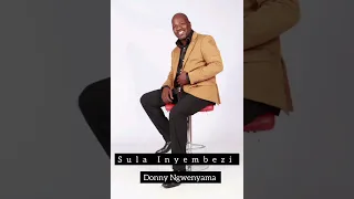 Sula Izinyembezi