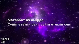 ARO S.O.Seni (lyrics/текст песни)