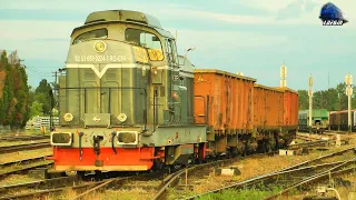 LDH1250 80-0224-3 la Manevră/Shunting in Gara Episcopia Bihor Station pe Apus/on Sunset 04 June 2020