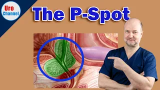 Prostate massage for prostatic orgasms scrutinized | UroChannel