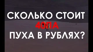 Сколько стоит 40ПА пуха в РУБЛЯХ?