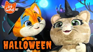 44 Gatos | Quem tem medo do escuro? 🕯🎃👻 | História e música de Halloween para crianças